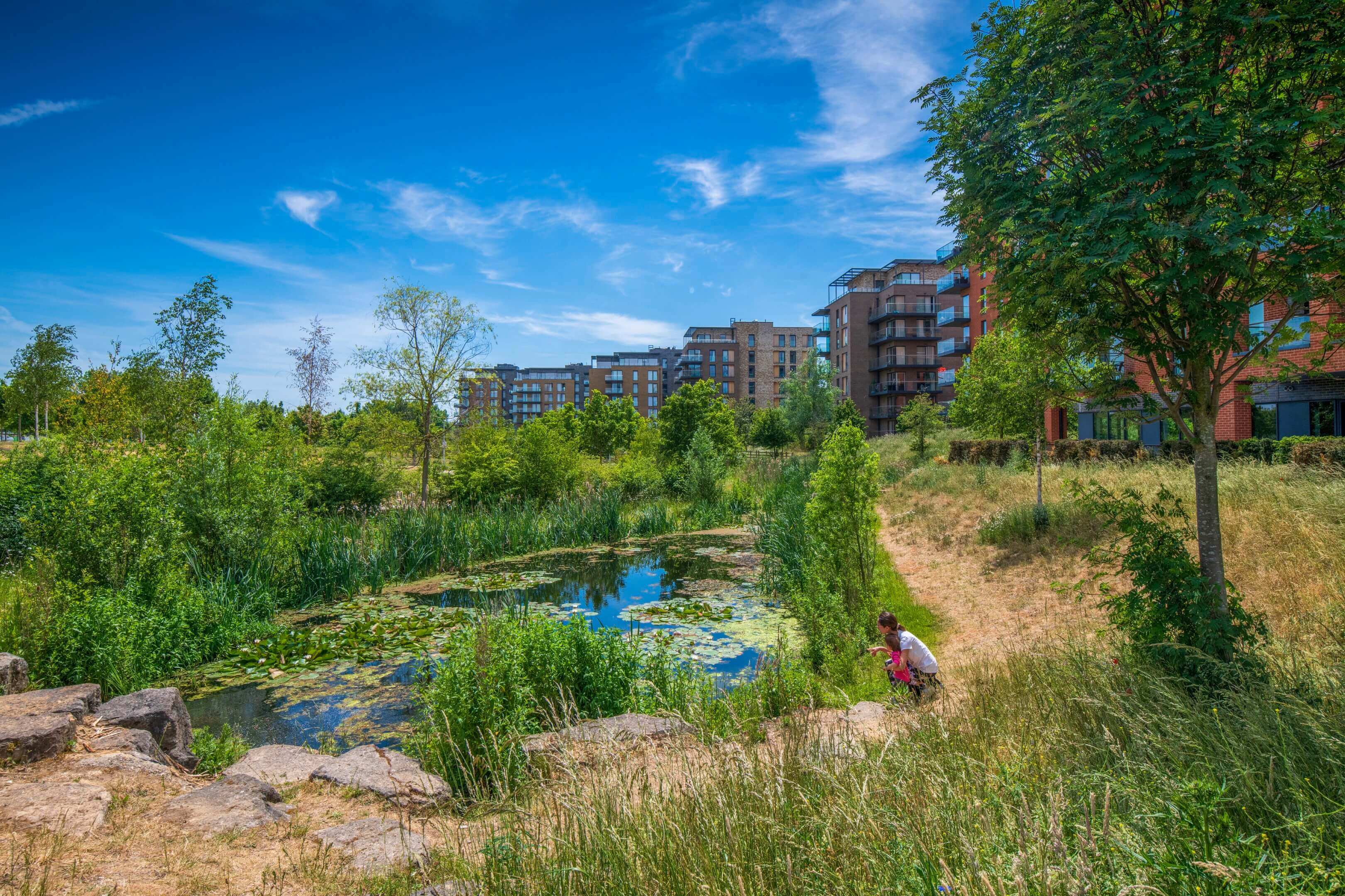 全新一期 Lily Residences｜Greenwich 珍稀公園與城景住宅 | 16分鐘直達倫敦市中心